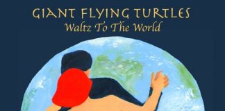 Giant Flying Turtles unique indie music