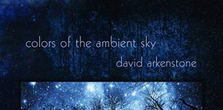 Enchanting rhythmic infectious original music David Arkenstone