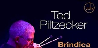 Multi faceted vibraphone jazz landscapes Ted Piltzecker