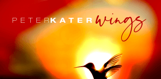 Inspirational elevating rejuvenating piano beauty Peter Kater