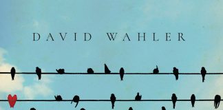 Absolutely stunning musical adventures David Wahler