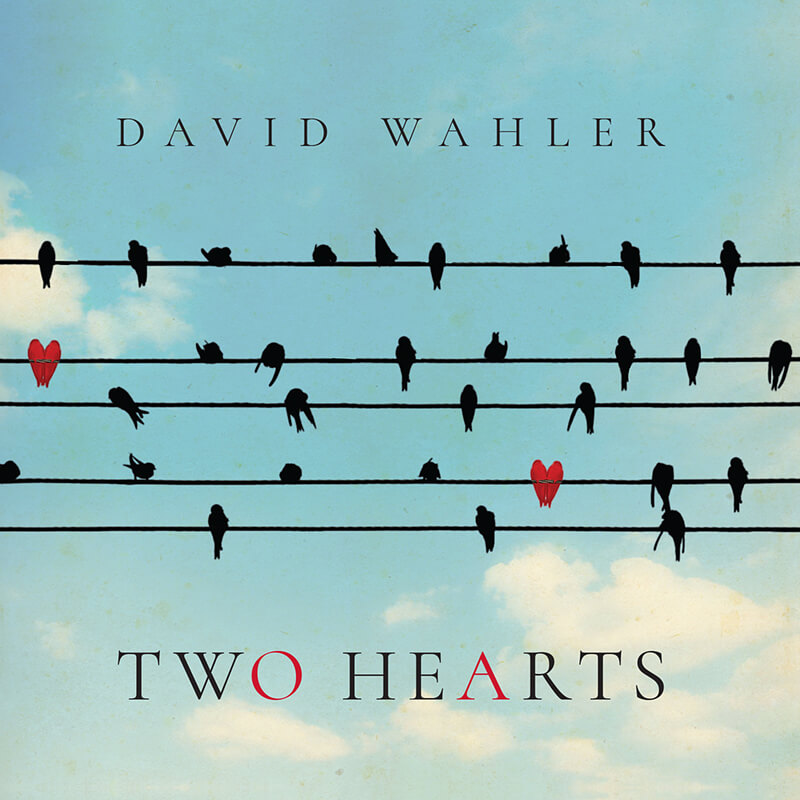 Absolutely stunning musical adventures David Wahler