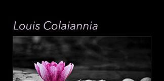 Emotional enlightened piano Louis Colaiannia