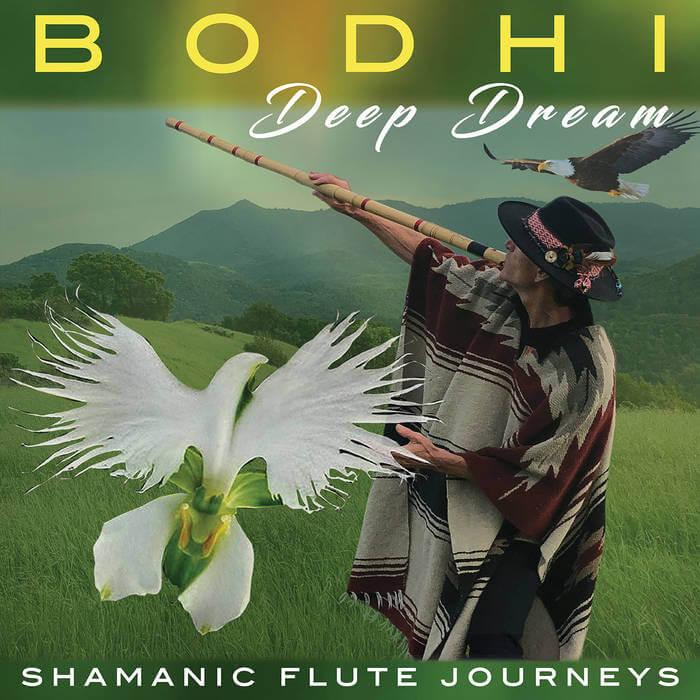 Uniquely healing music Bodhi
