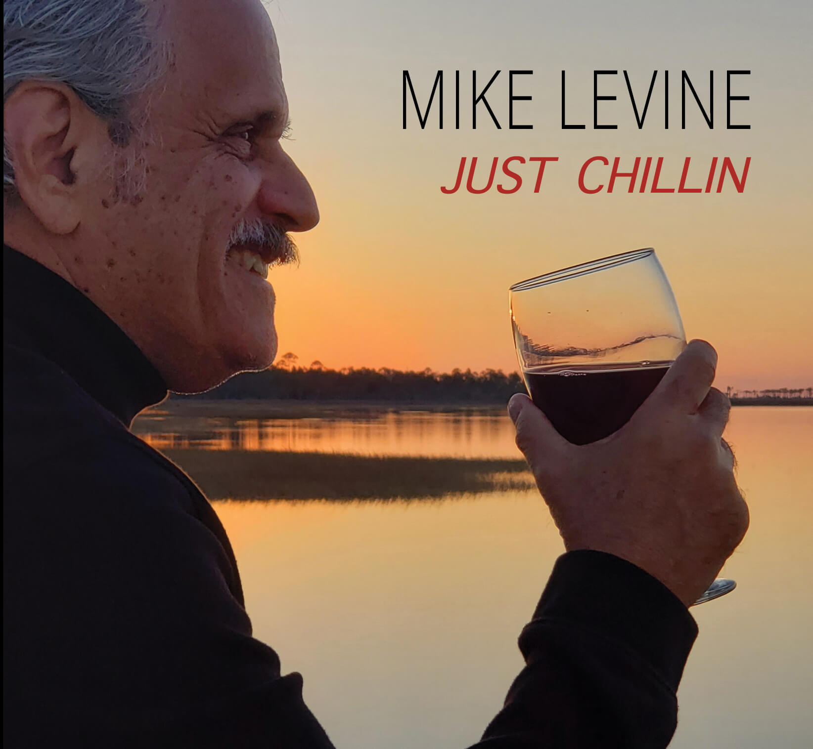 Coolest contemporary smooth jazz Mike Levine