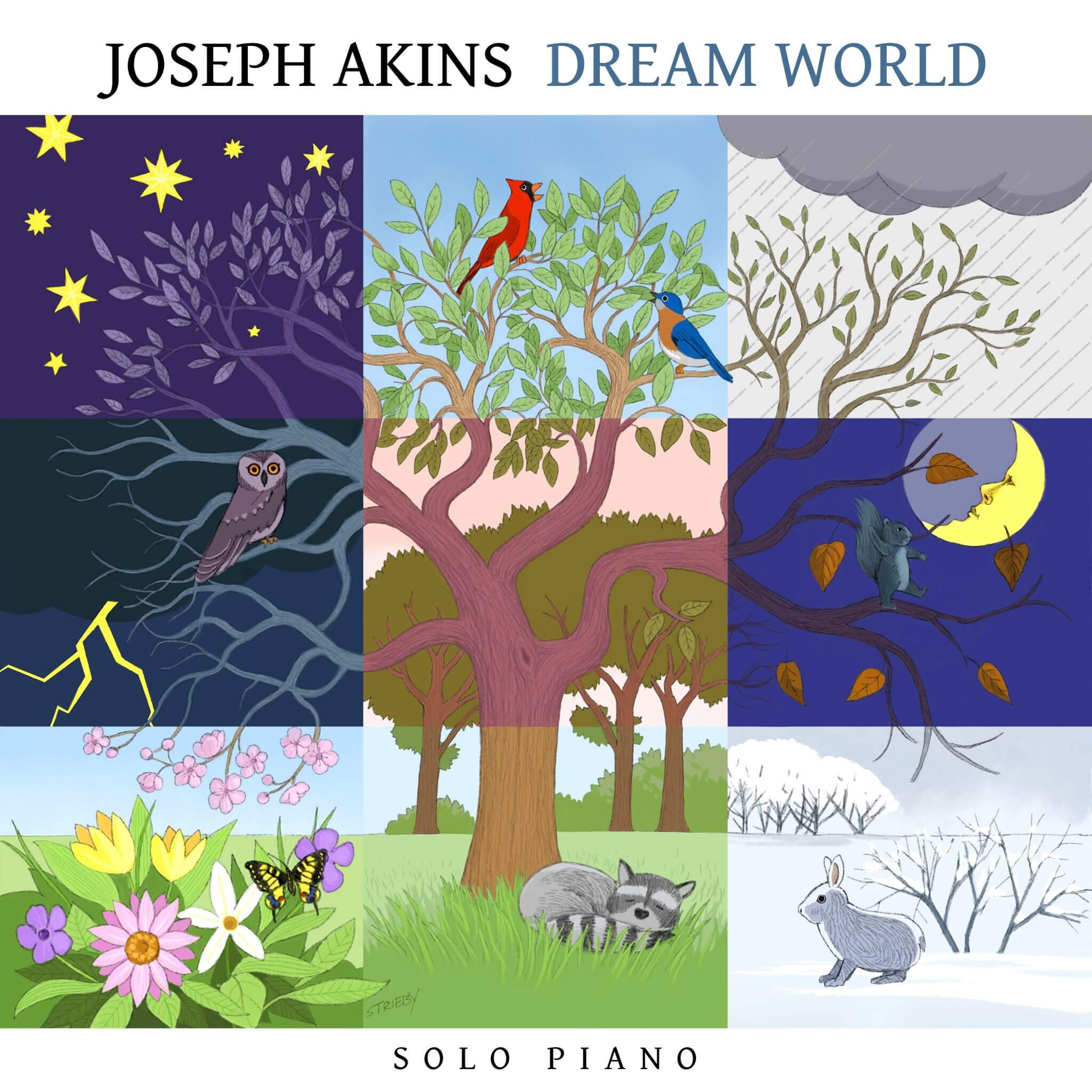 Intimate daring piano dreams Joseph Akins