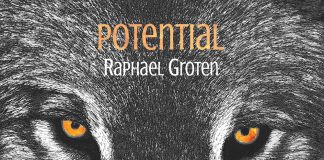 World medicine groove magic Raphael Groten
